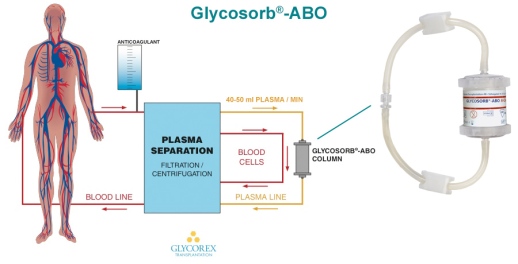 Glycosorb-ABO